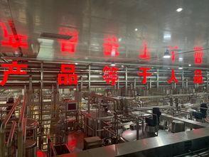 探访蒙牛工厂与京东冷链分拣中心 冰淇淋产业全链路服务升级背后的固定电信服务力量